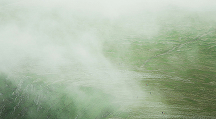 Abstract misty green texture representing fast setup